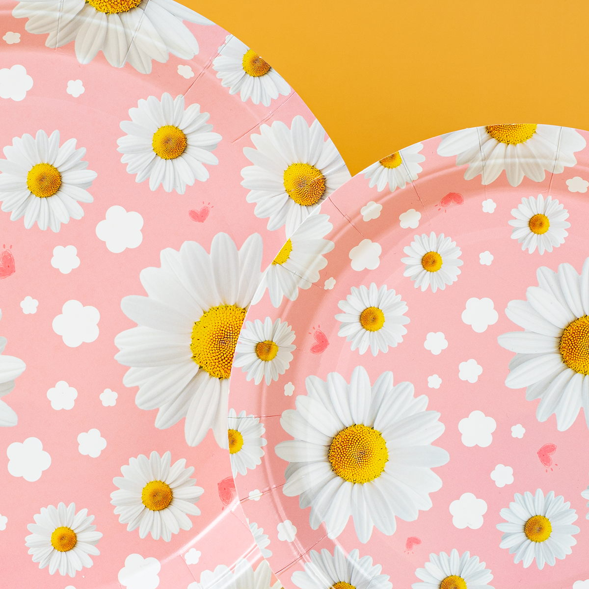 Pink Daisy Print Disposable Pa - Event & Party Supply Photos recension och pris