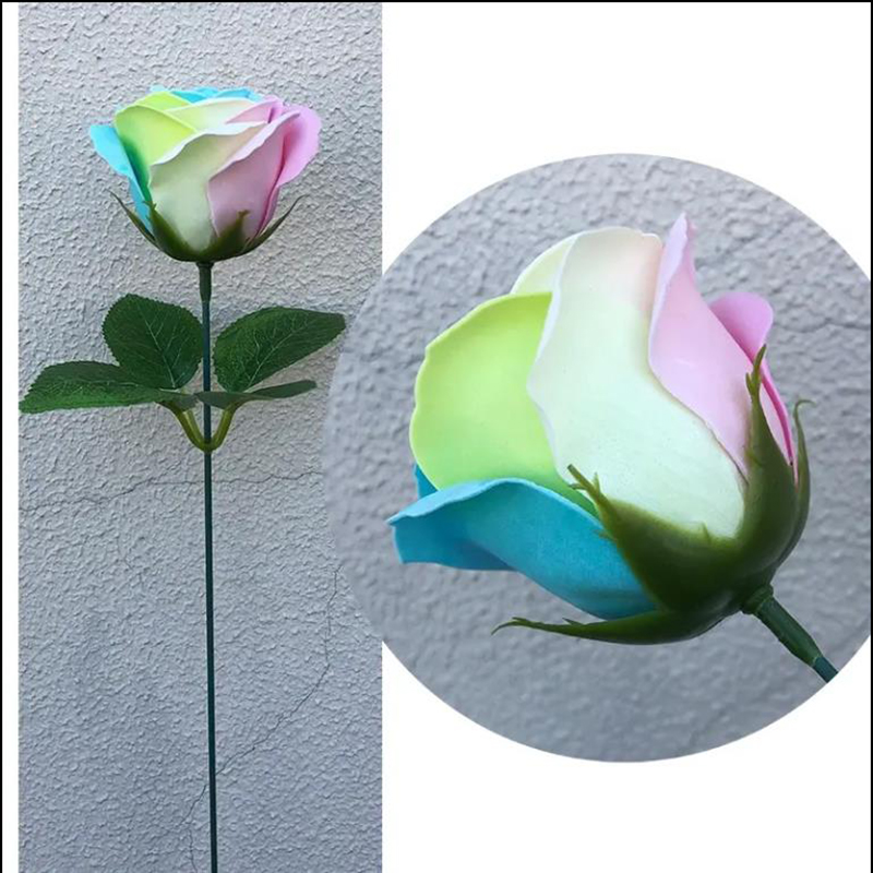 Spilewka 6X7cm Colorful Rose A - Event Supplies recension och pris